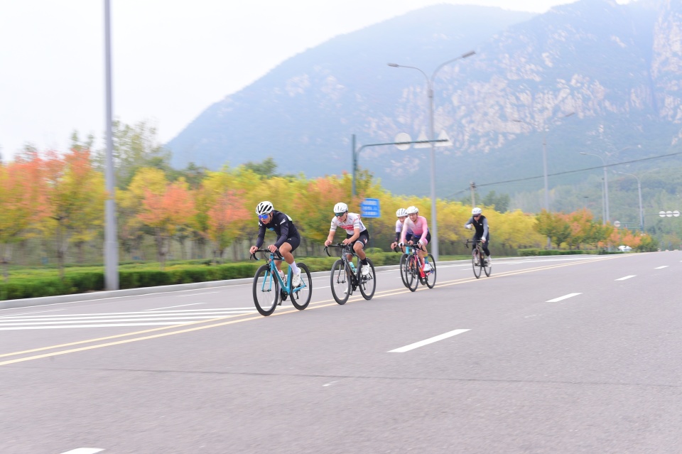 括男子公路, 历史建筑群, 全民共享 括男子公路, 历史建筑群, 全民共享